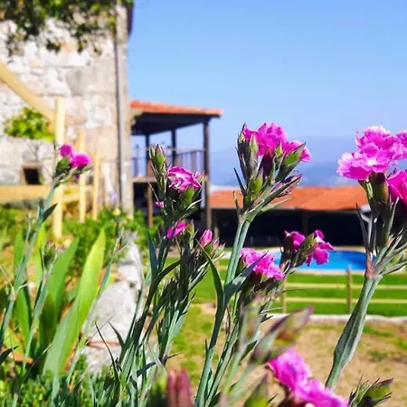 Holiday home Quinta Nova - 18th Century *